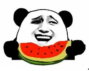 娱乐吃瓜酱拒绝白嫖,守护原创精神