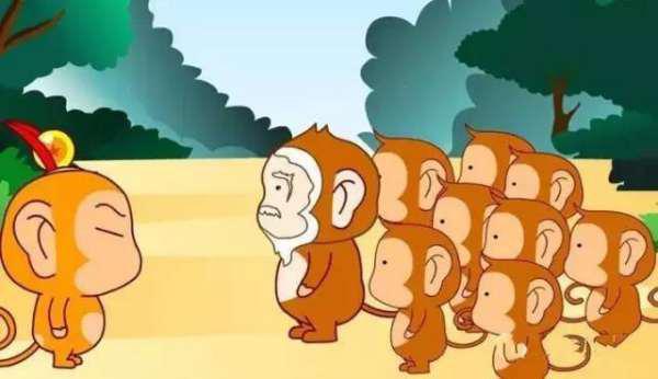 娱乐吃瓜的故事,揭秘明星背后的吃瓜故事