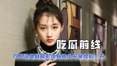 娱乐圈吃瓜趣事小说,瓜田里的甜蜜陷阱