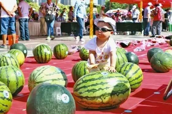 吃瓜大赛在线,一场全民参与的美食盛宴