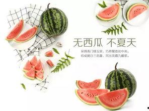 吃瓜大赛在线,一场全民参与的美食盛宴