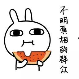 娱乐吃瓜酱有对象的,揭秘神秘对象，揭秘娱乐圈新恋情